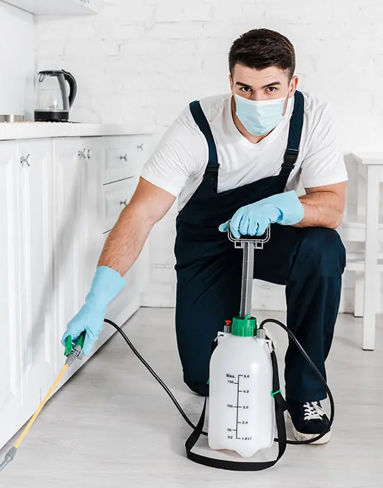 PCES technician applying general pest control treatment along a kitchen wall